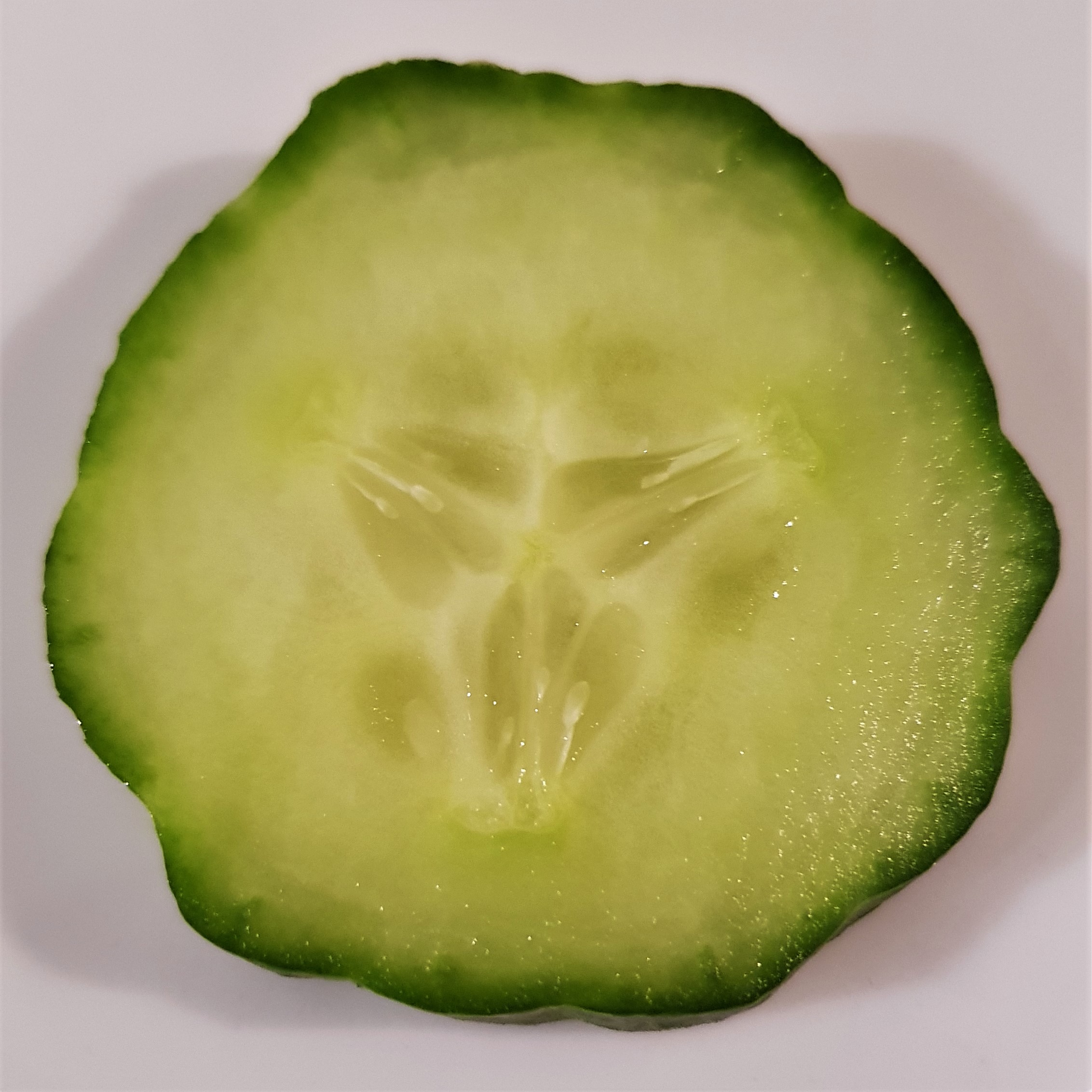 Cucumber